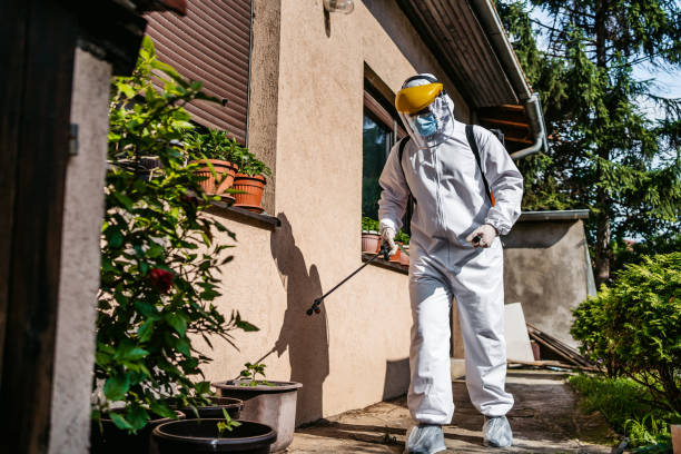 Best Pest Control Near Me in Rosewood Heights, IL