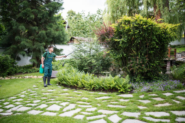 Best Insect Control  in Rosewood Heights, IL