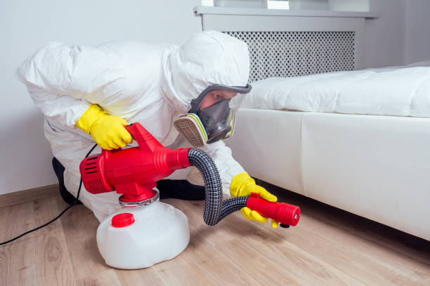 Pest Prevention Services in Rosewood Heights, IL